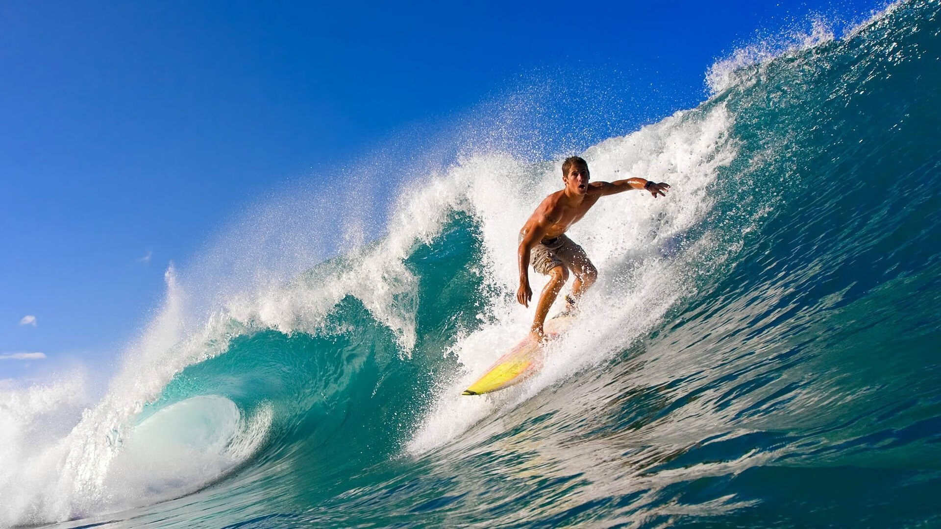 “荒野求生:沙漠、森林的极限对决”,荒野求生荒漠攻略